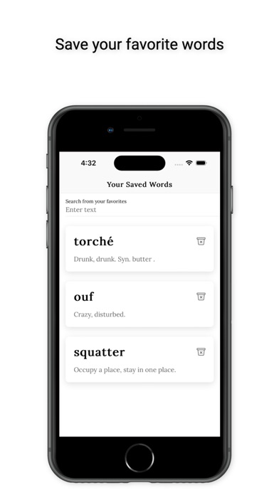 French Slang Screenshot
