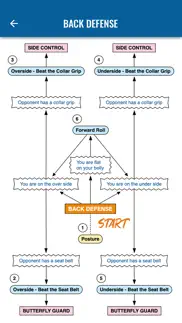 bjjflowcharts iphone screenshot 3