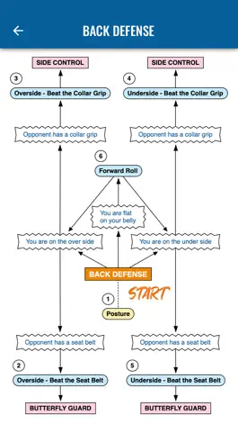 Game screenshot BJJFlowCharts hack