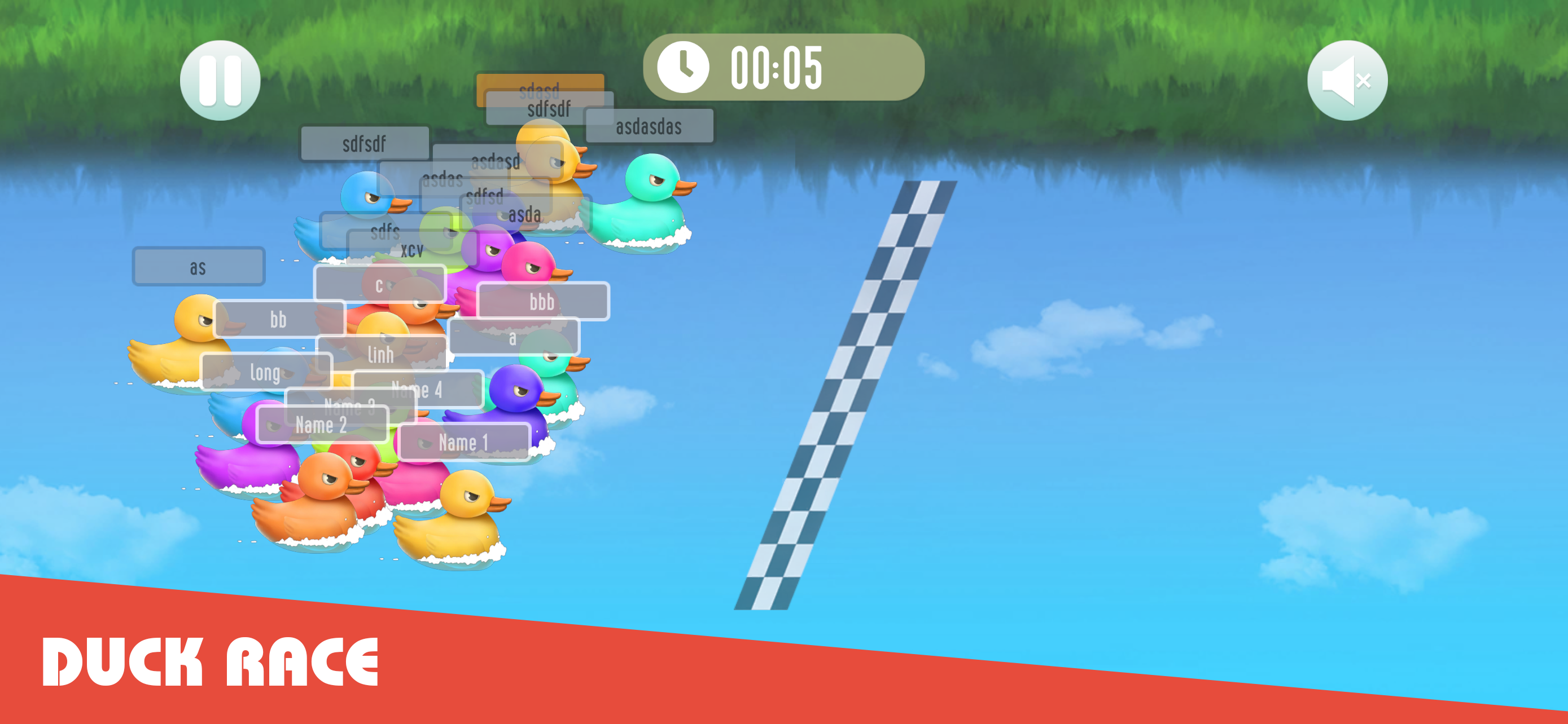 Duck Race Timer
