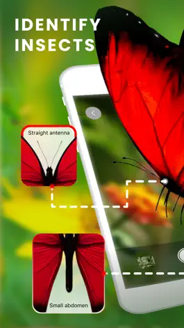 Game screenshot What bug is this Identify bugs mod apk