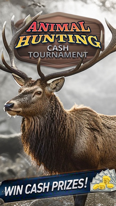 Animal Hunting Cash Tournament Screenshot