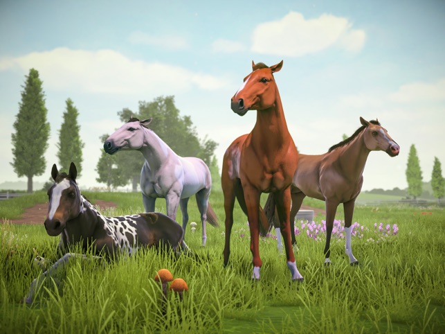 MELHOR JOGO DE CAVALO PARA CELULAR E COMPUTADOR DE GRAÇA! star equestrian 