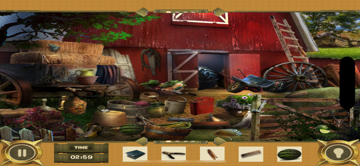 The Hidden Evidences  Puzzle