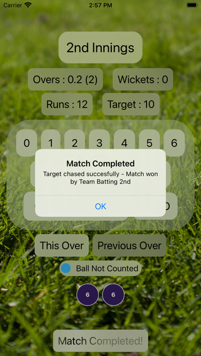 Scoreboard - Gully Cricket Screenshot