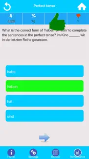 gcse german grammar iphone screenshot 3