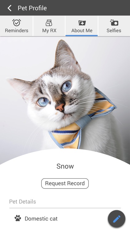 Chico Hospital for Cats