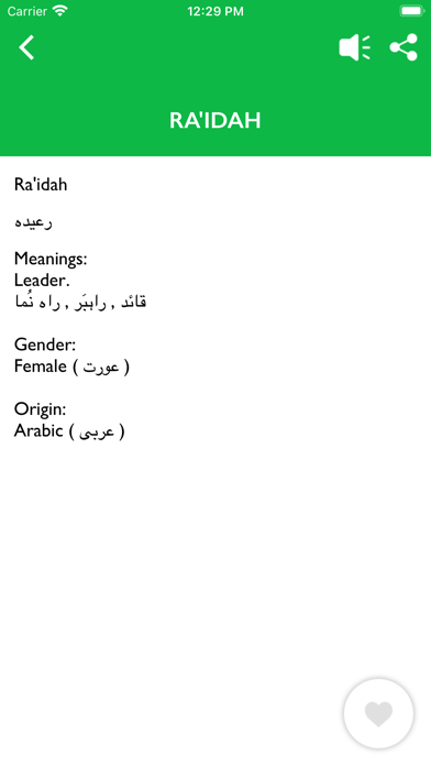 Islamic Dictionary with Urdu Screenshot