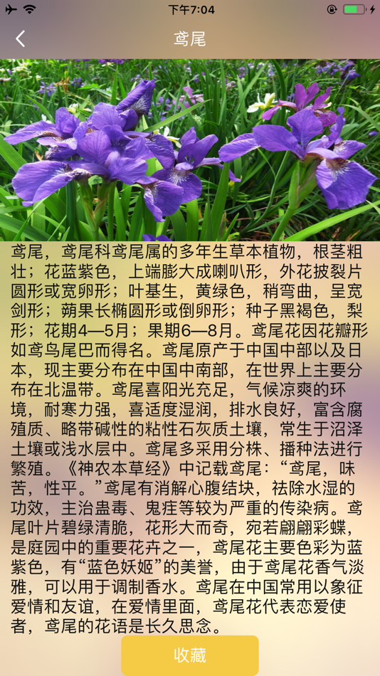 #4. 花间舞-花卉园集 (iOS) 来自: 俞 周