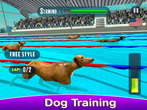 Dog Swimming Raceのおすすめ画像4