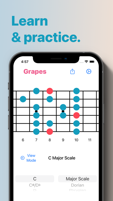 Grapes - Chords & Scales Screenshot