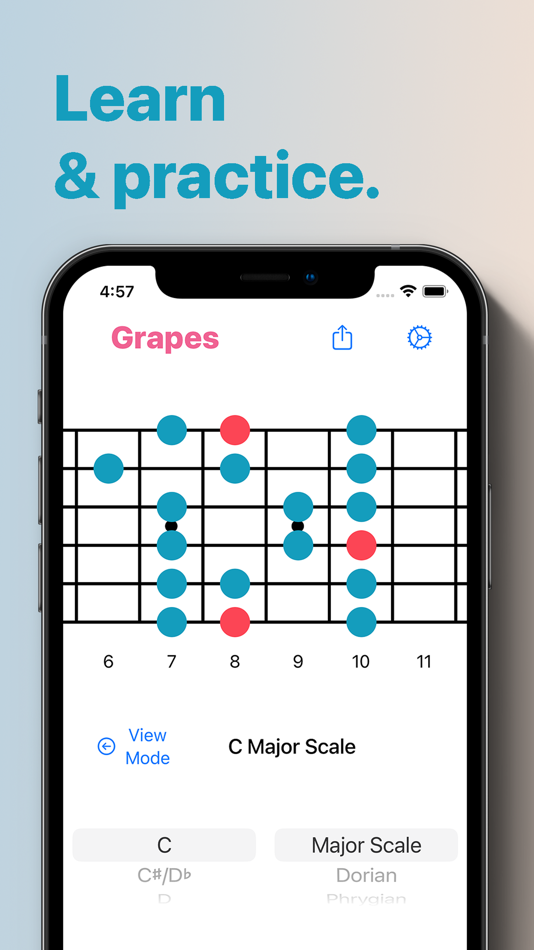 Grapes - Chords & Scales - 1.4 - (iOS)