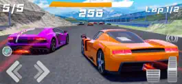Game screenshot The Racing Crew Ultimate Race apk