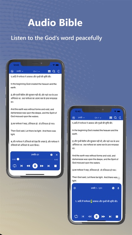 Hindi English Holy Audio Bible