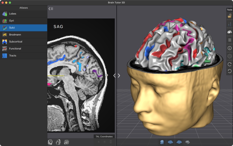 #1. Brain Tutor (macOS) 由: Rainer Goebel