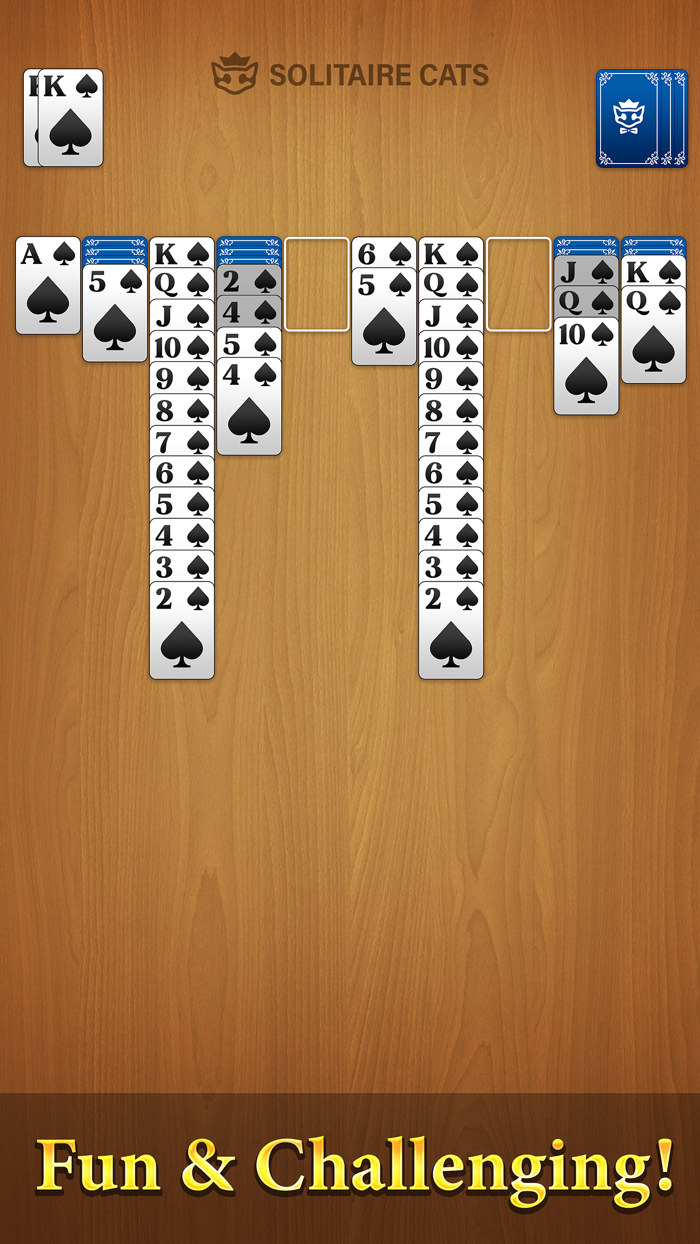 Spider Solitaire Card Games ·