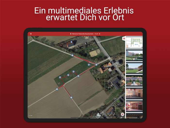 Palastvilla Mauchenheim