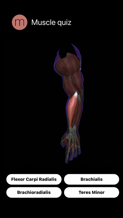 Human Anatomy Study Guide Screenshot