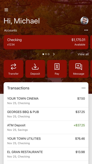 Maries County Bank Screenshot