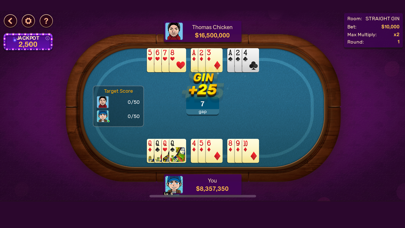 Gin Rummy: Offline Game Screenshot