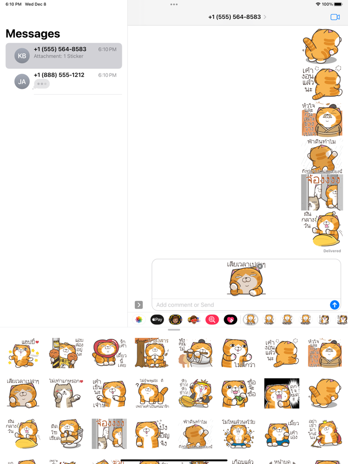 Lan Lan Cat 20 Thailand