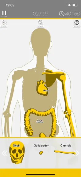 Game screenshot Enjoy Learning Anatomy puzzle apk