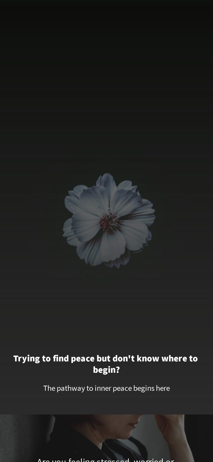 Aligned – Body Mind and Soul