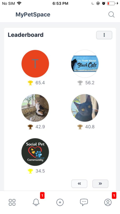 MyPetSpace Screenshot