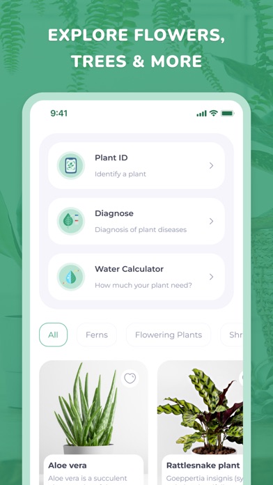 PlantID - Plant identifier++ Screenshot