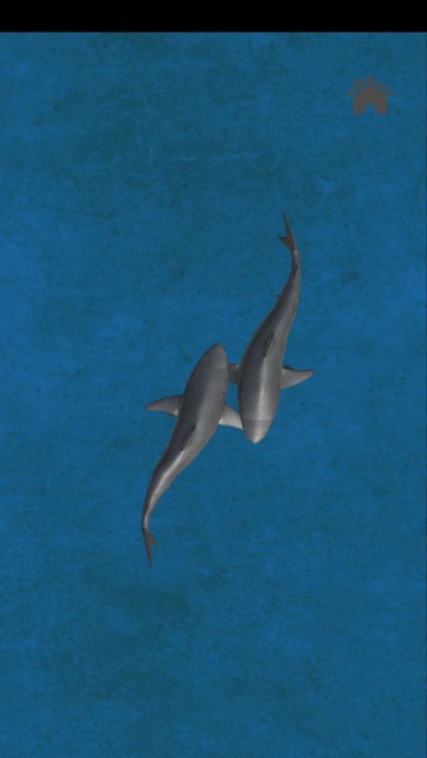 Game For Cats Vip Screenshot