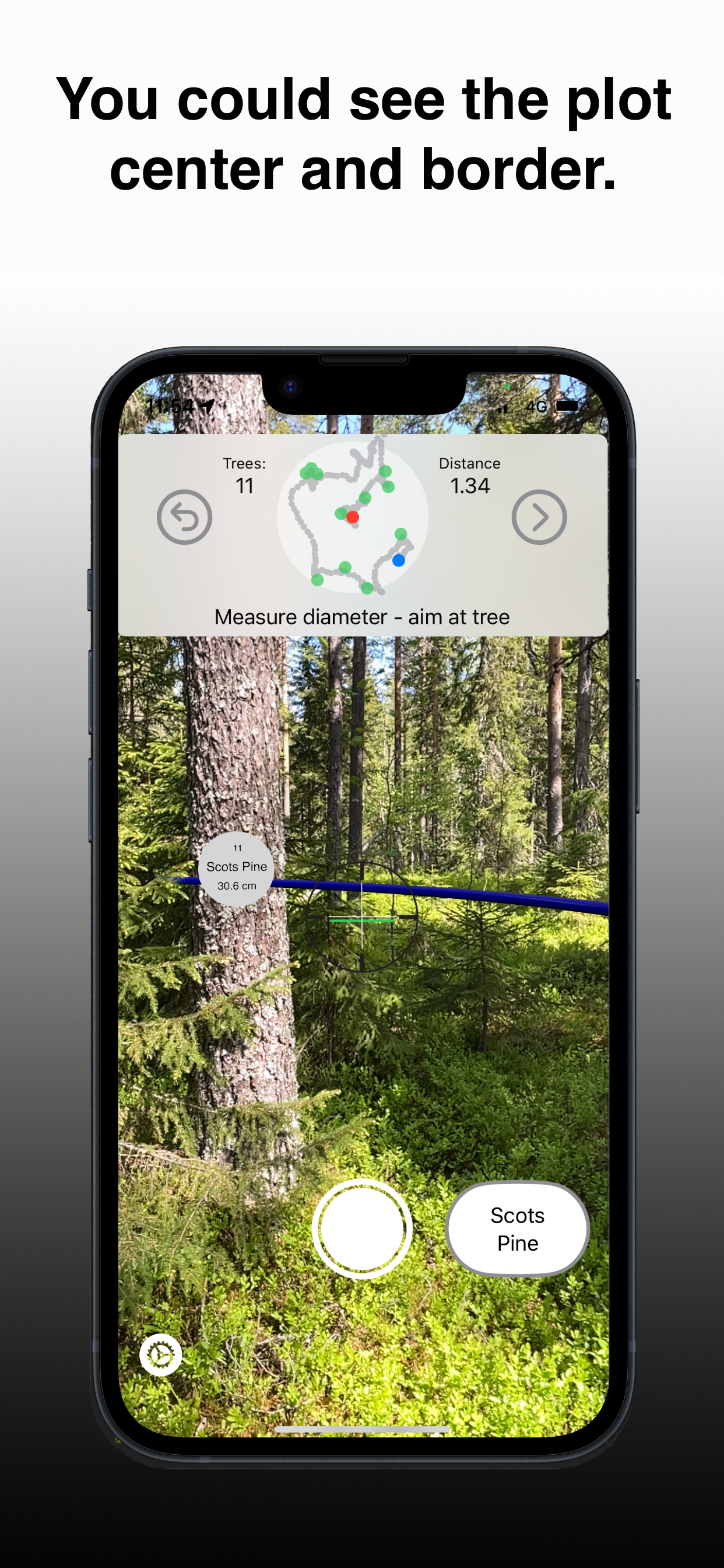 Arboreal Forest screenshot 3