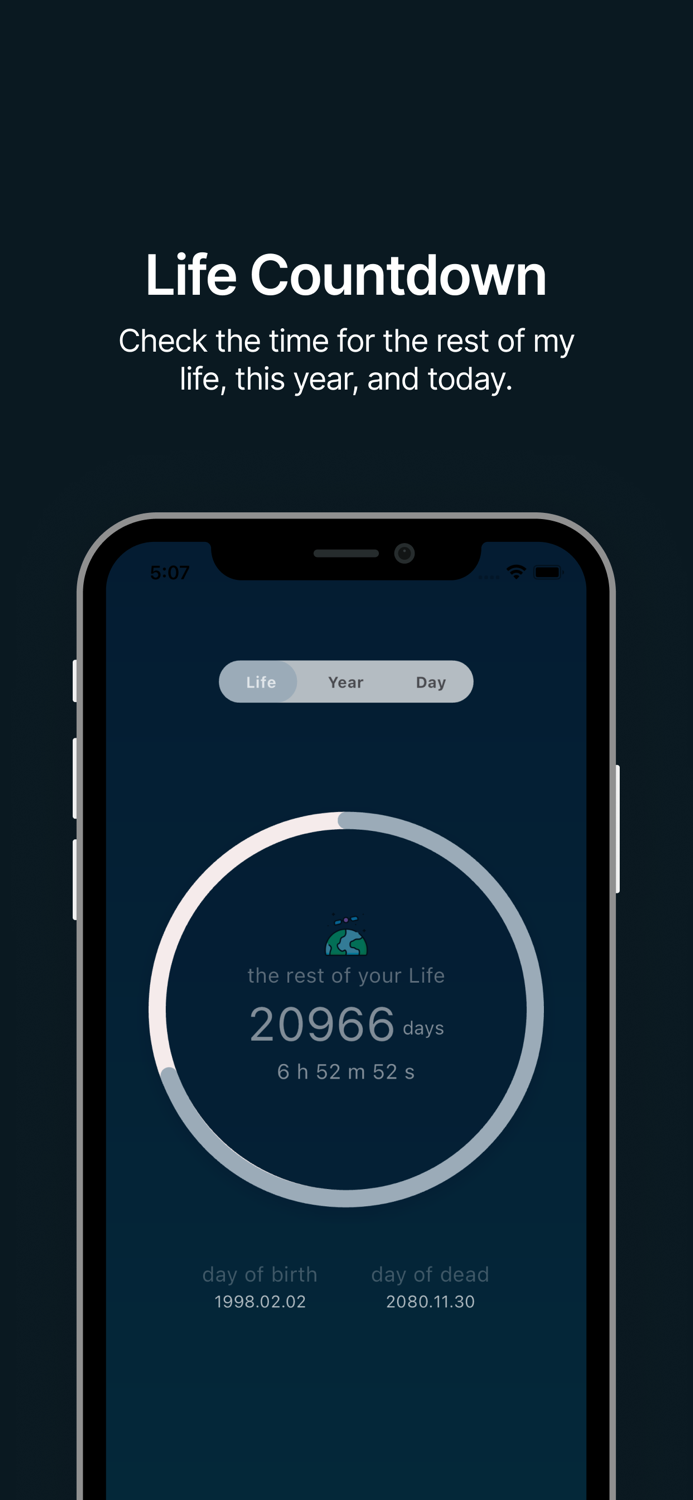 The Last Leaf - Life Countdown