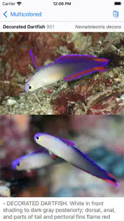 philippines fish id problems & solutions and troubleshooting guide - 2