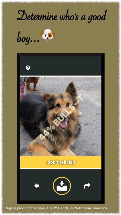 Bull Sniffer screenshot-4