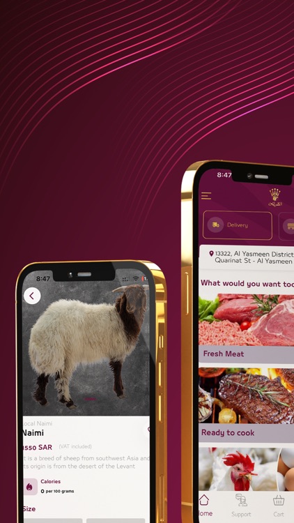 Turki Dabayh | تركي للذبائح