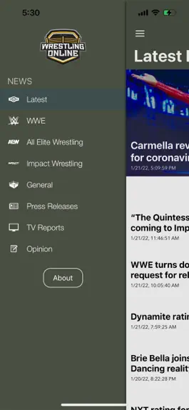 Game screenshot Wrestling-Online.com hack