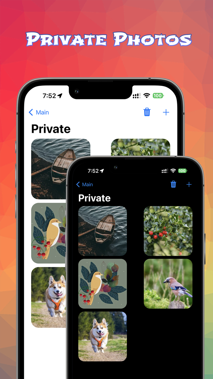 Secret Photo Vault - eVault