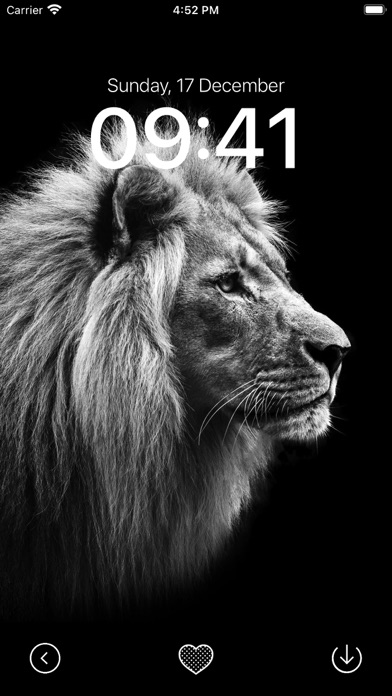 Black Wallpaper App Screenshot