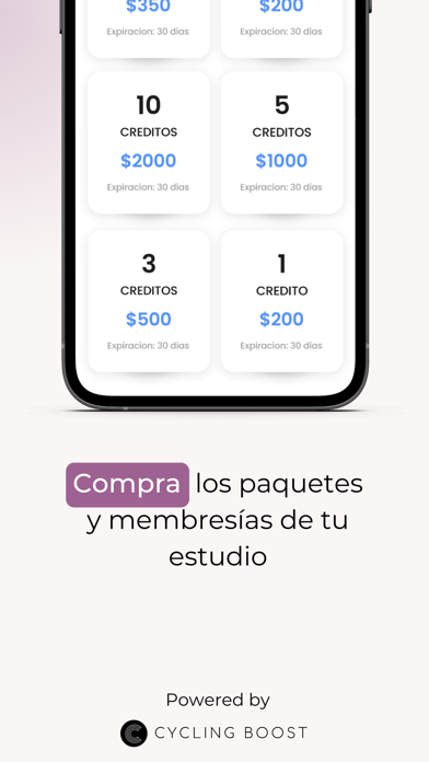 Wellchic Pilates Screenshot