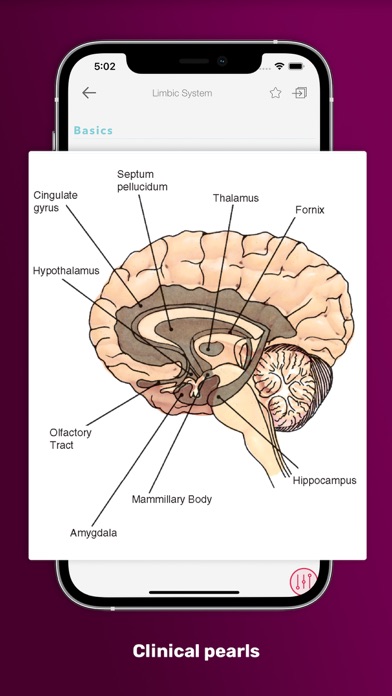 PsychNotes: Clinical Pkt Guide Screenshot