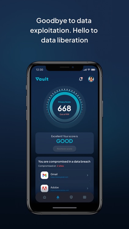 Vault: Data with integrity