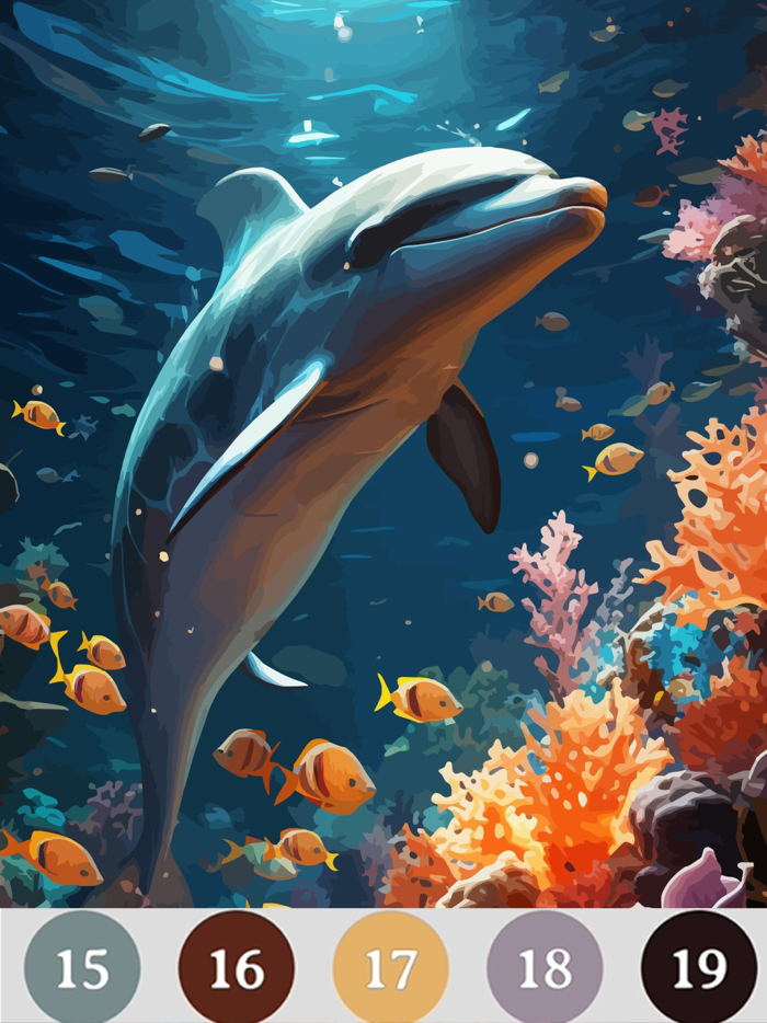 Oil Color Paint By Number