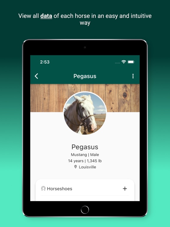 Horsefy iPad screenshot 2 - Sports app