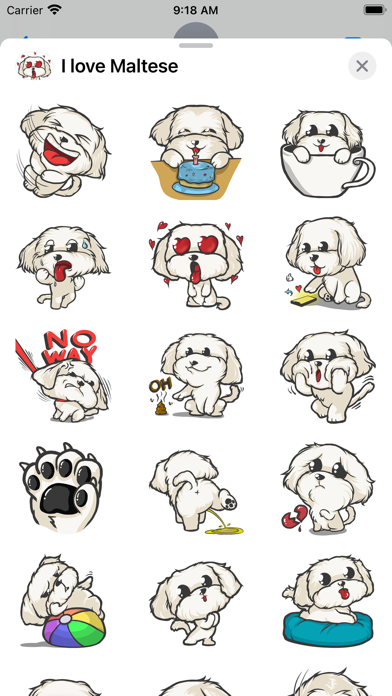 Cutest Maltese Puppy Sticker Screenshot