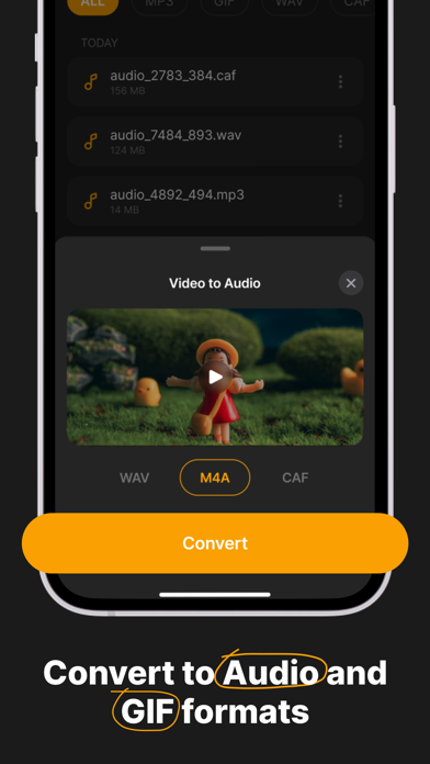 The Video Converter app Screenshot
