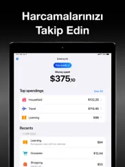 expense air - spending tracker ipad resimleri 2
