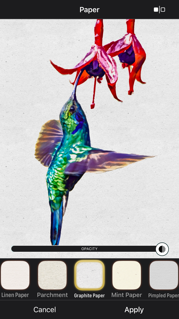 Oilbrush Oil Painting Photos