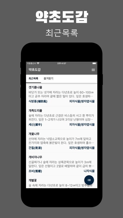 약초도감 - 약용식물 효능 & 복용법