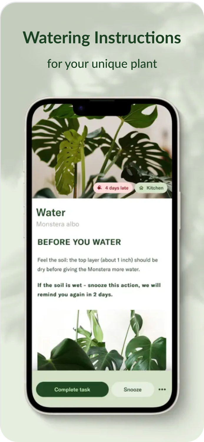 Plant Identifier andDisease Care