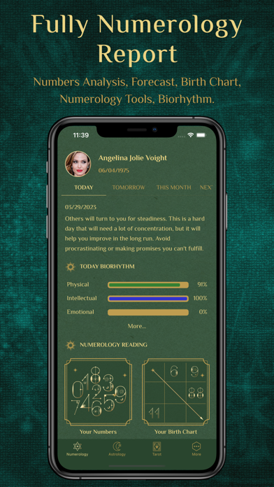 Numerology & Astrology Screenshot